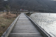 遊歩道　冬