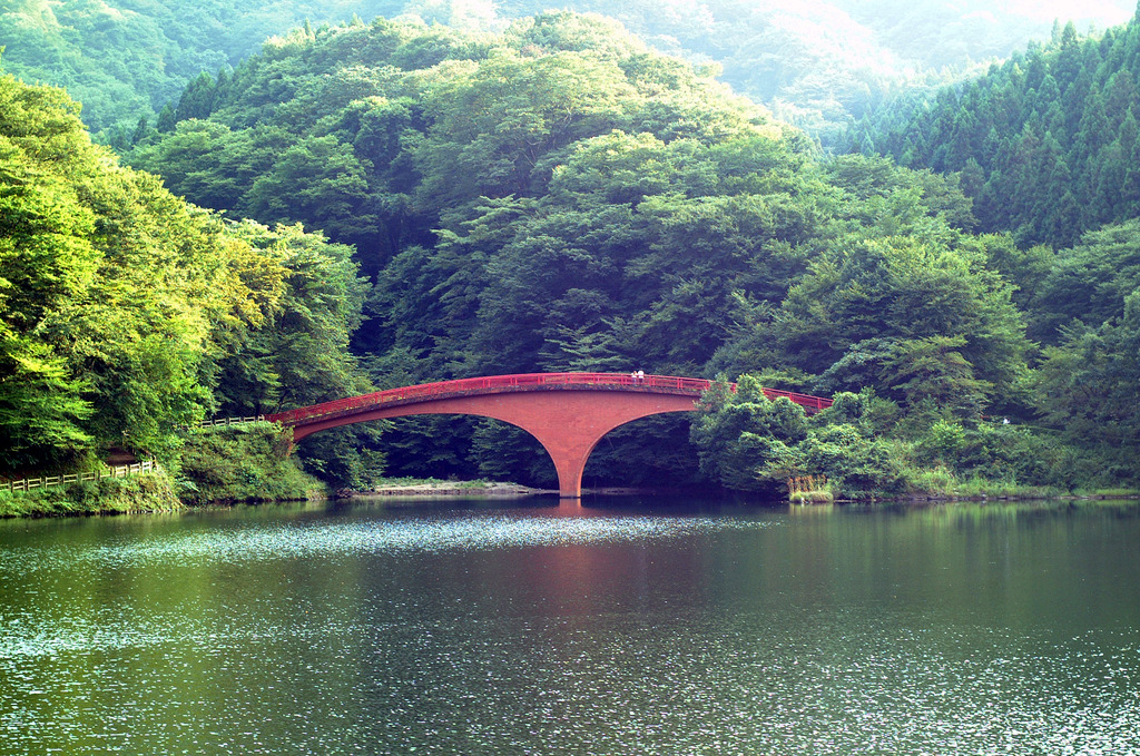 DSCF0045