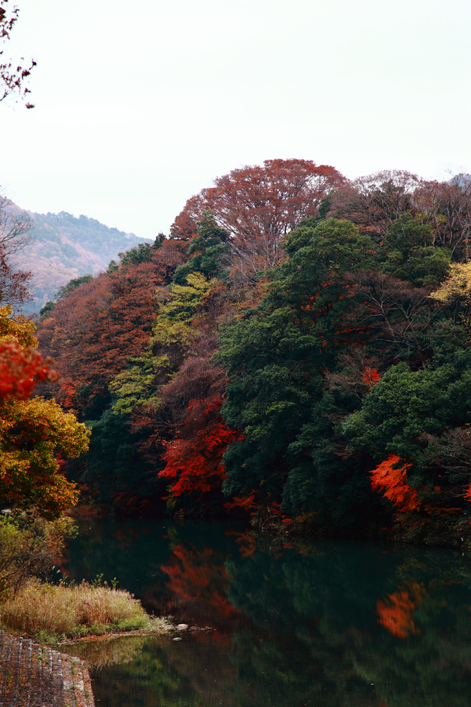 もみじまつり2009～永源寺