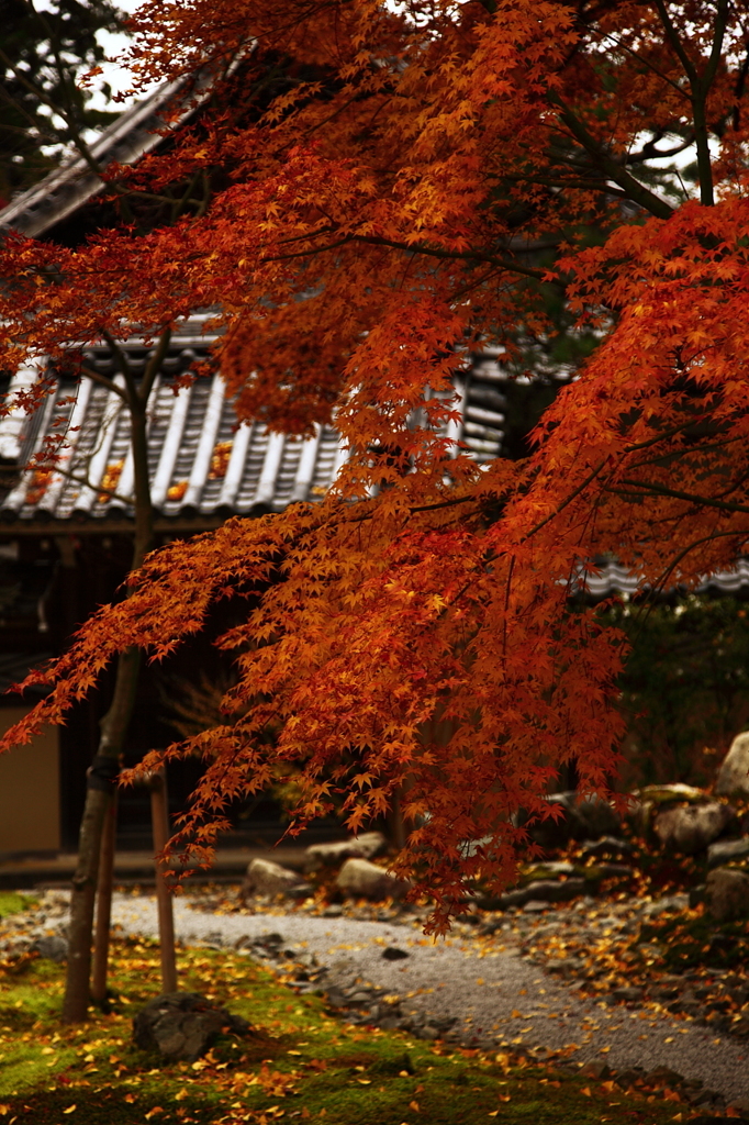 永源寺の紅葉