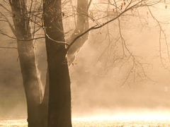 _C069002_edited-2