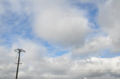 DSC_0264