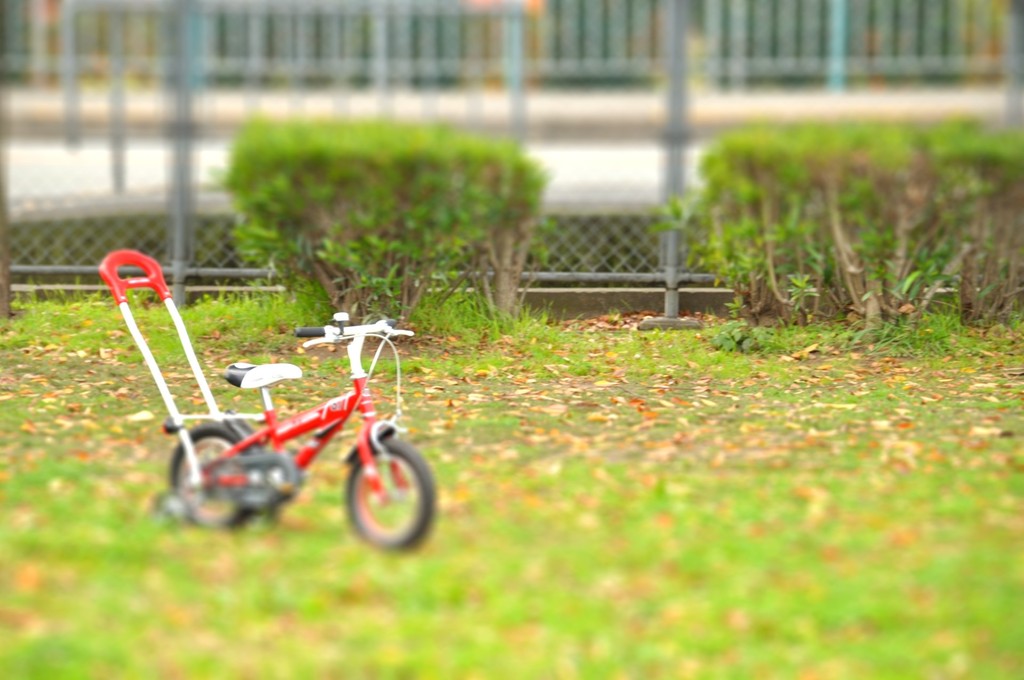 DSC_0274-tiltshift