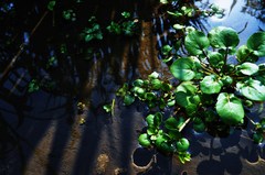 DSC_0227