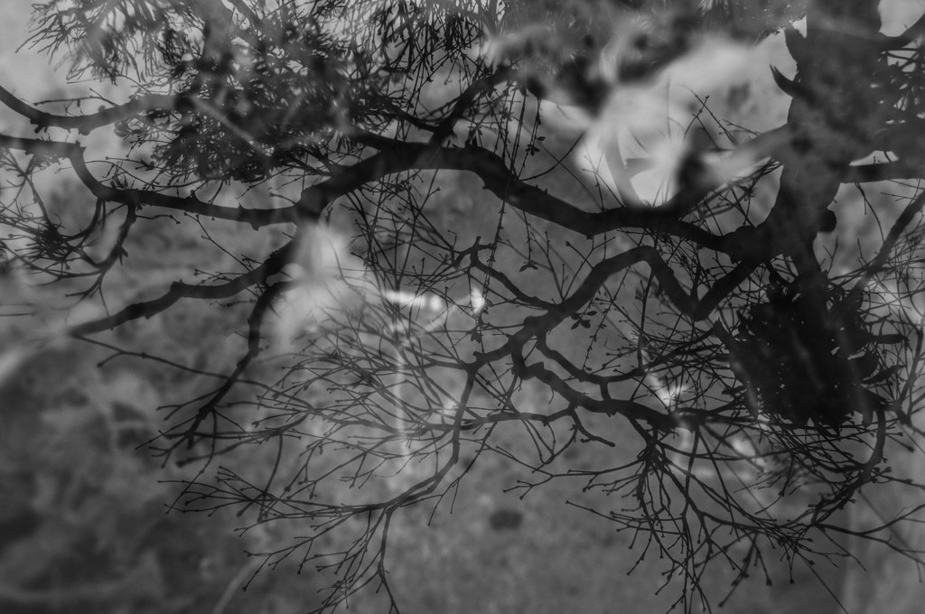 DSC_1029