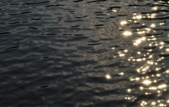 DSC_0002