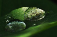 CSC_0220