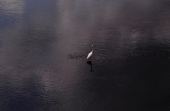 DSC_0006