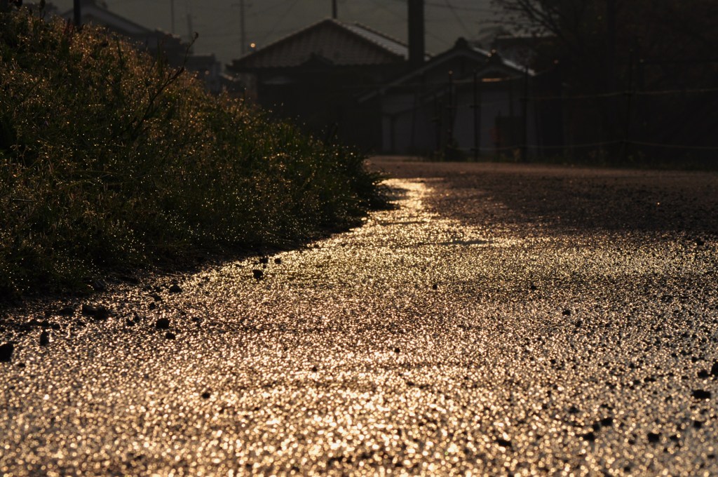 光る帰り道