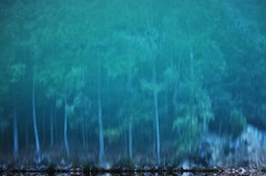 world in water