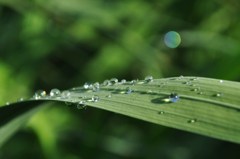水と光の待ち合わせ場所