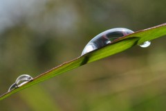 CSC_0222