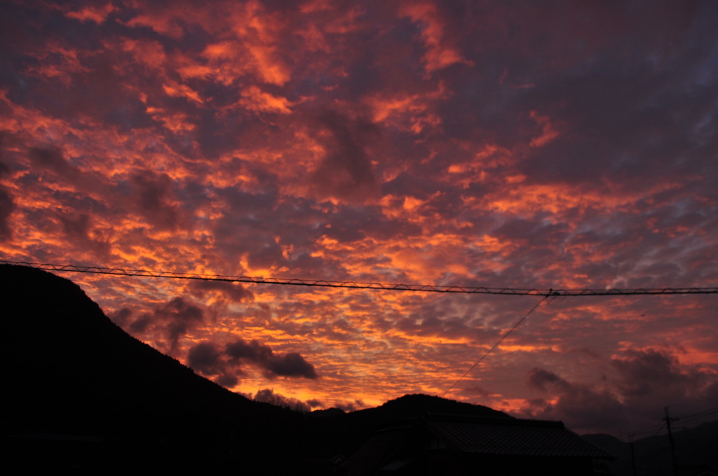 DSC_0029