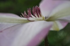 DSC_0003 (2)