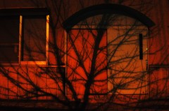 DSC_0018 (2)