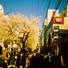 自由が丘の桜と人人人・・・
