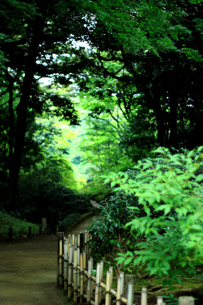 道