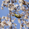こっち向いて～
