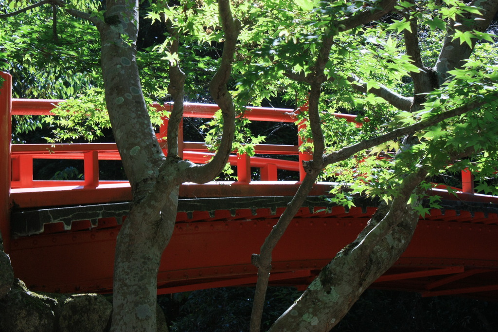 妹背の滝公園