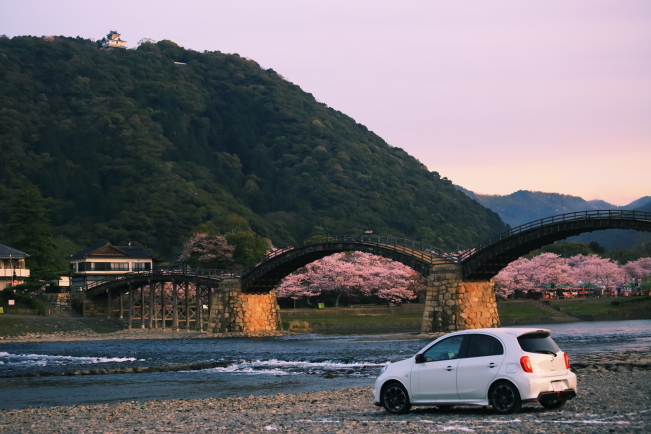 錦帯橋と桜とnismo