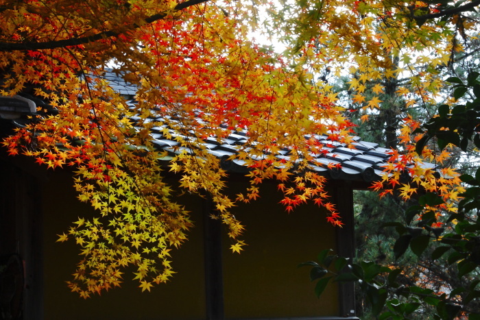 漢陽寺の紅葉