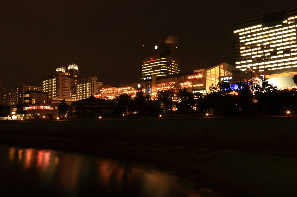 海浜公園の夜景