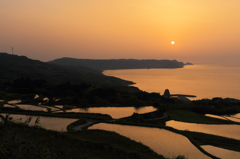 棚田の夕景