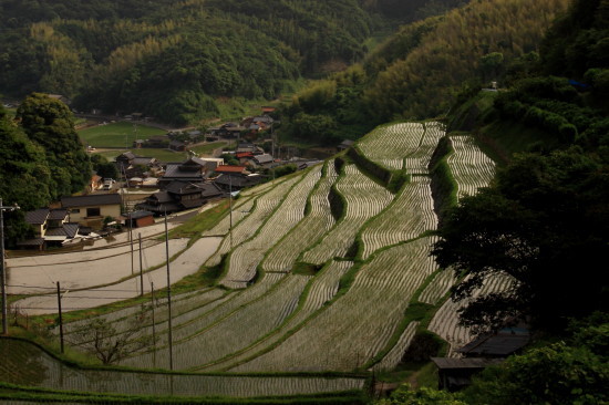 四郎谷の棚田《周南市》