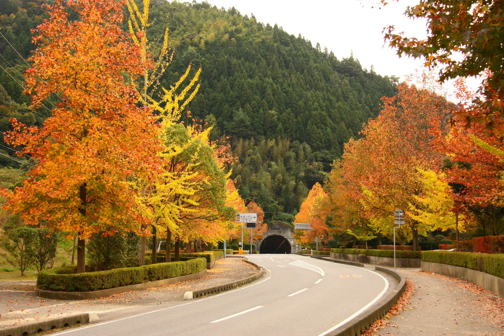 末武川ダムの紅葉