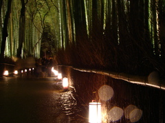 竹林の灯篭