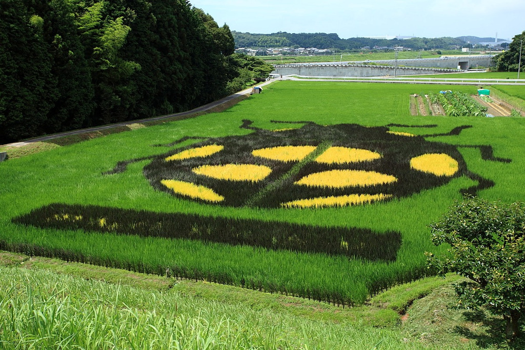 田んぼアート