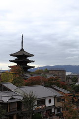 高台寺から望む八坂の塔