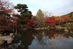京都円山公園の池と紅葉・・・