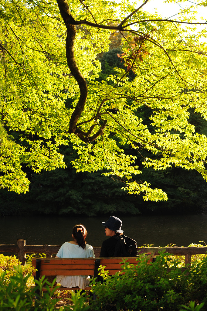 穏やかな午後(2)