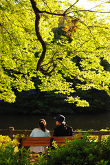 穏やかな午後(2)