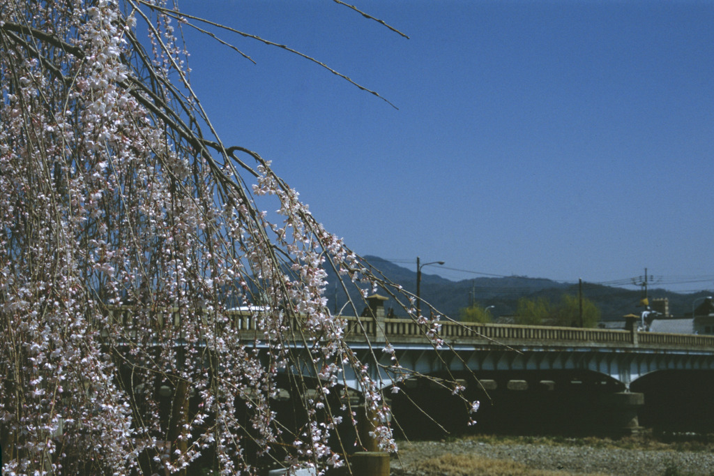 都(みやこ)の風景５