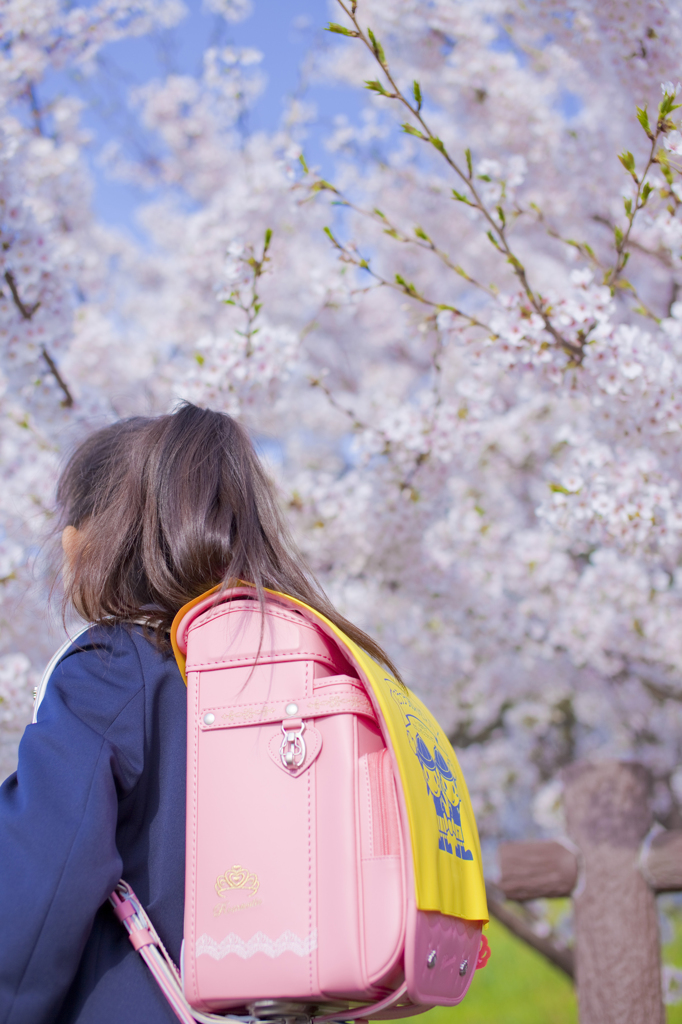 入学おめでとう