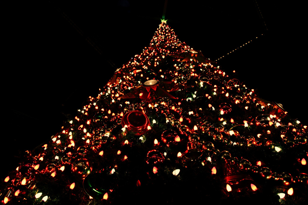 Dream Lights