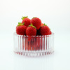 Strawberry Photo b