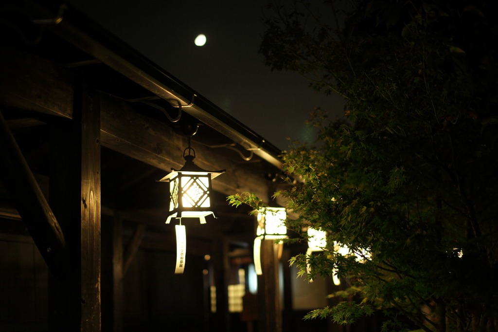 40番目の月