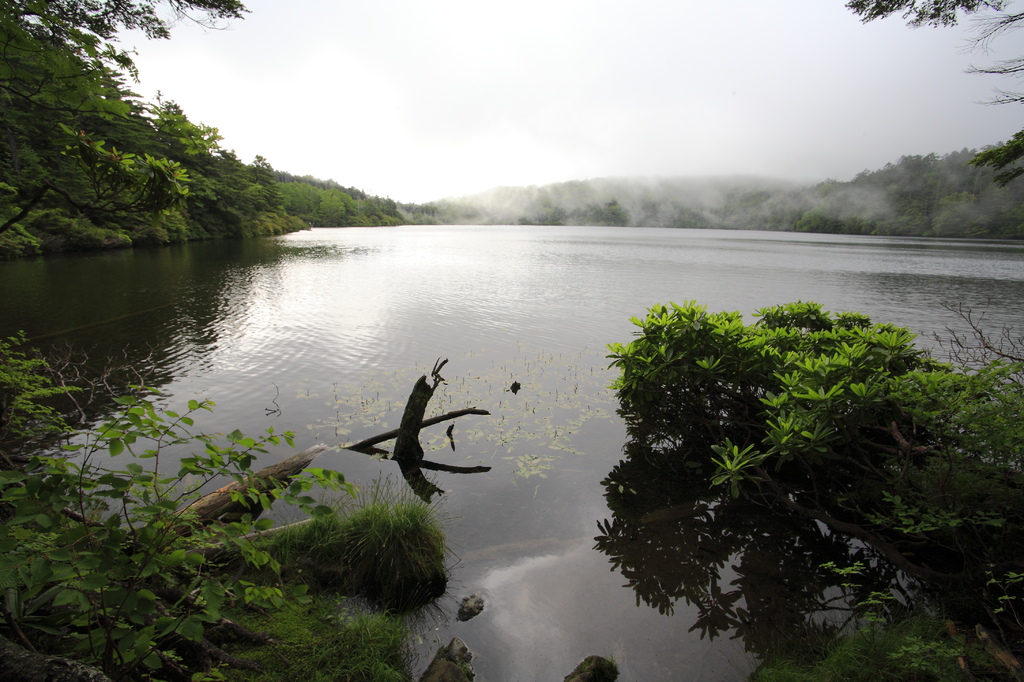 白駒池の朝