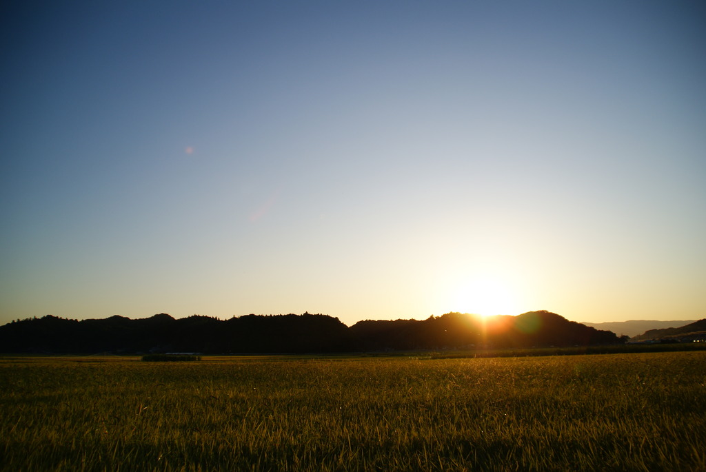 夕日