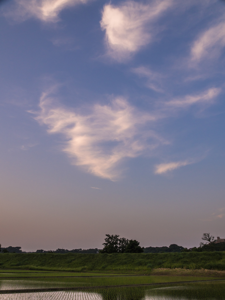 タバコ雲