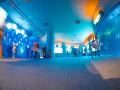 2ＸＸＸ年　エイリアン鑑賞施設　