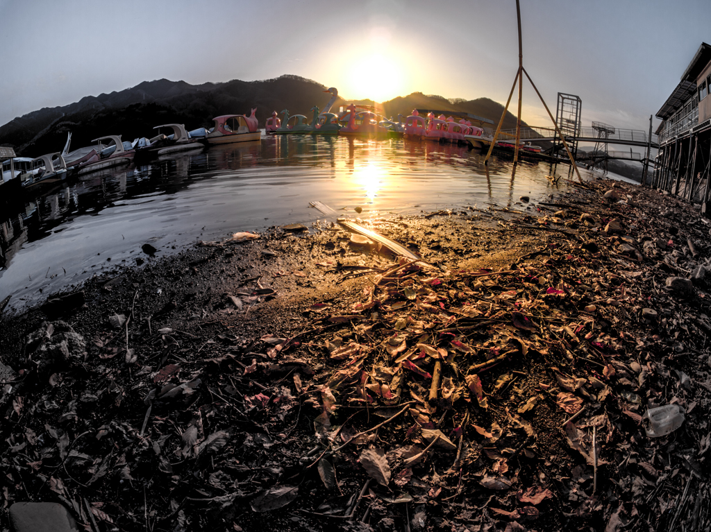 P1281136_37_38_39_40