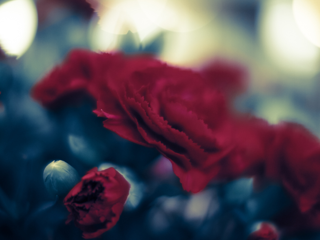 E-M10追悼かろうじて無事だったレンズチェック2