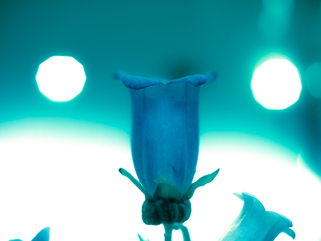 E-M10追悼、かろうじて無事だったレンズチェック１