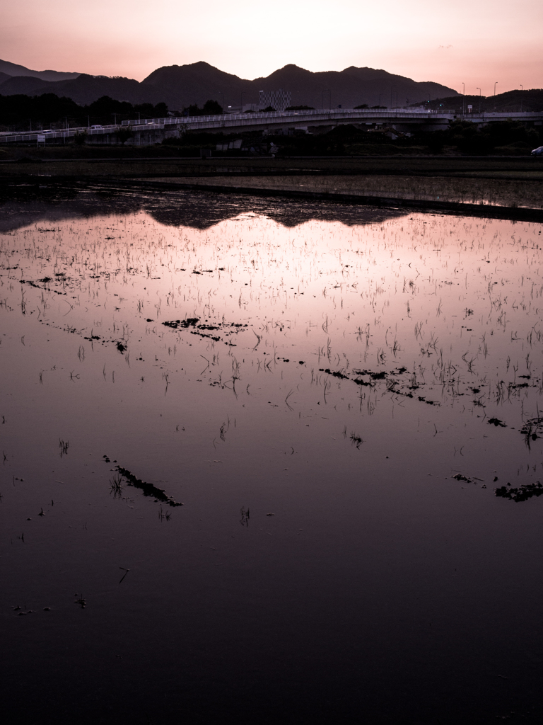 レンズチェック