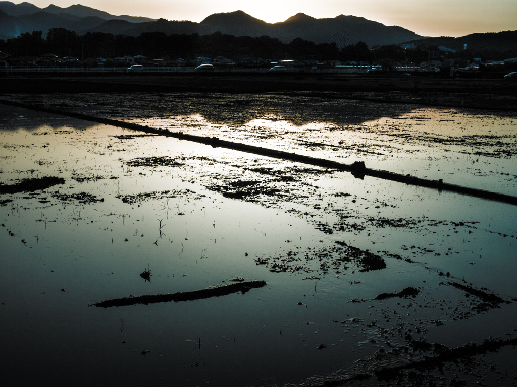 レンズチェック