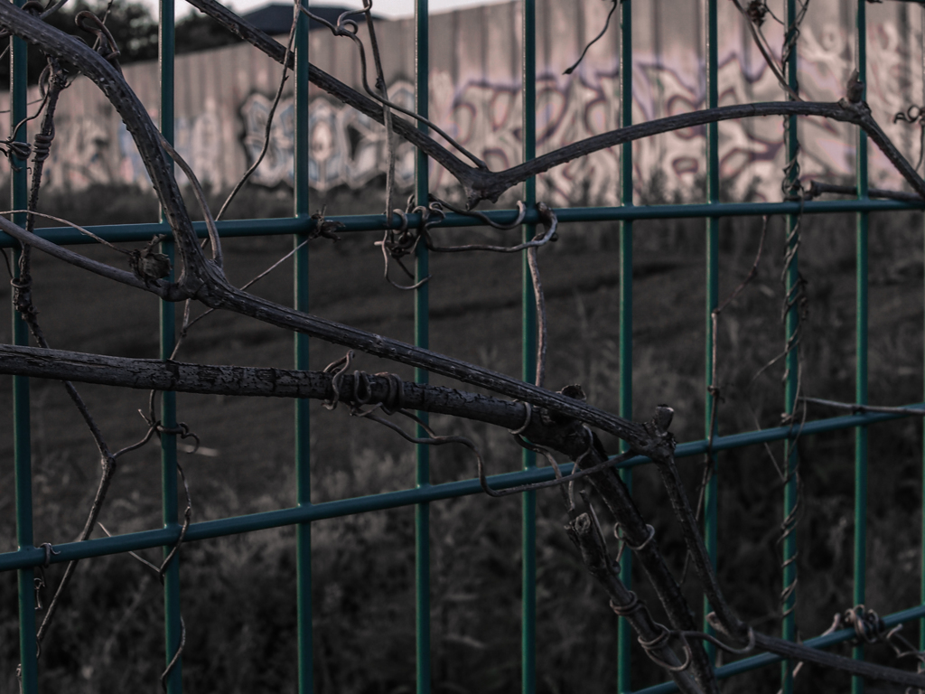 E-M10追悼かろうじて無事だったレンズチェック6